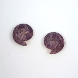 Coquillage