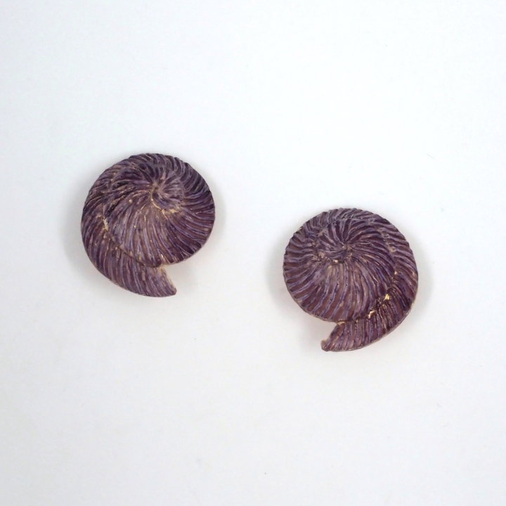 Coquillage
