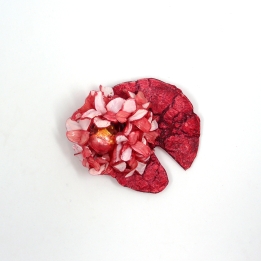 Hortensia