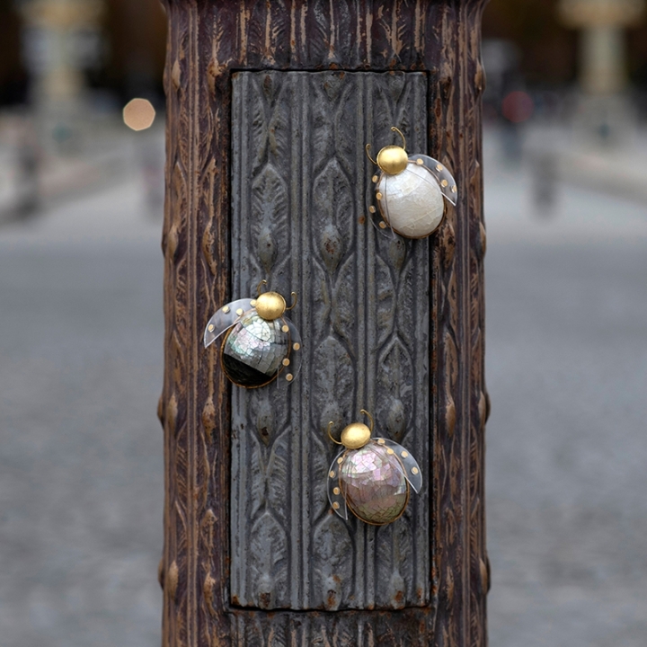 Broche Cocinelle