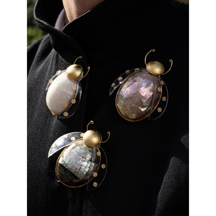 Broche Cocinelle
