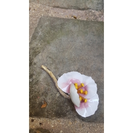 Broche Théo