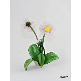 MARGUERITE