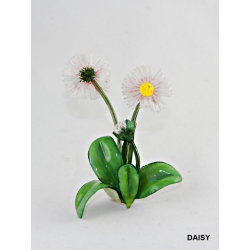 MARGUERITE