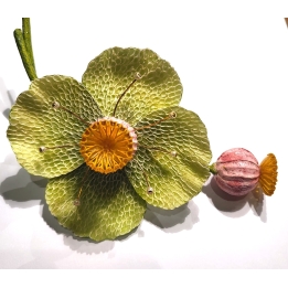 PAVOT VERT/VIOLET