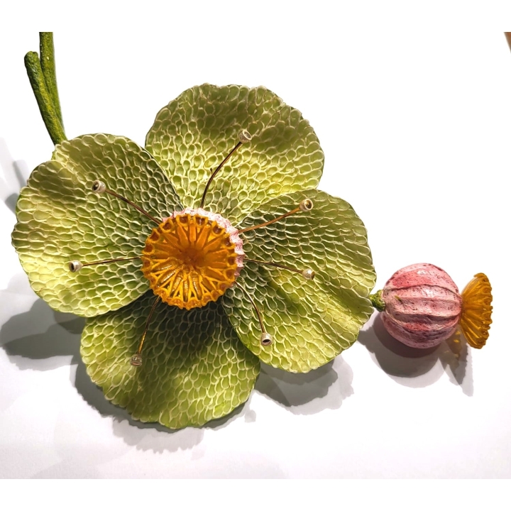 PAVOT VERT/VIOLET
