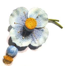 PAVOT BLEU CLAIR