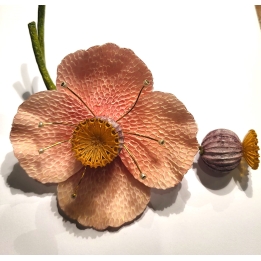 PAVOT ROSE/VIOLET