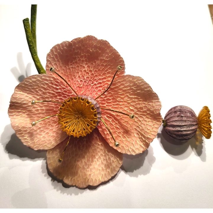 PAVOT ROSE/VIOLET