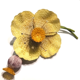 PAVOT JAUNE/VIOLET