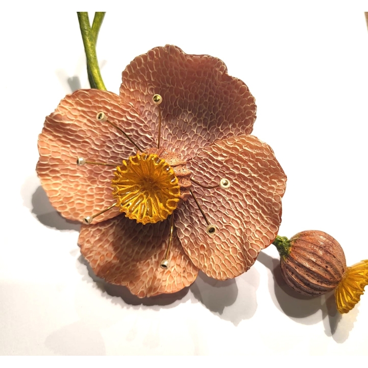 PAVOT ROSE POUDRE