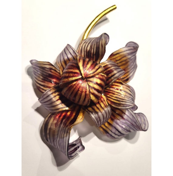 FLEUR DU DESERT LIE DE VIN