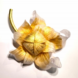 FLEUR DU DESERT BLANC/OR