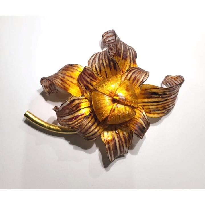 FLEUR DU DESERT MARRON/OR