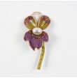 Orchidée