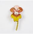 Orchidée
