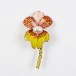Orchidée