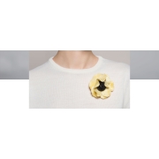 Broche